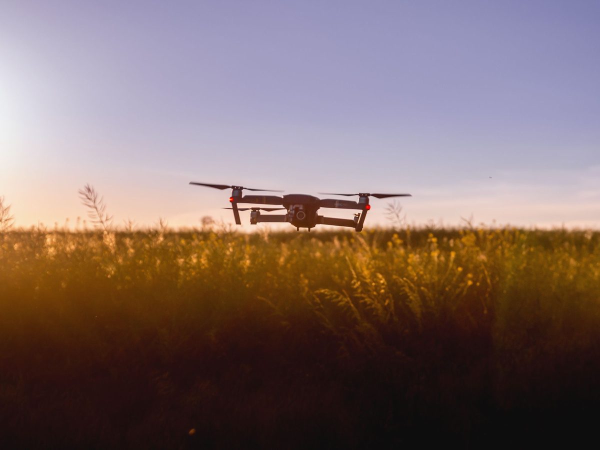 Dron s termokamerou nad lúkou pri východe slnka